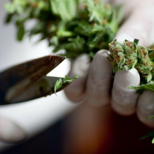 Five Health Benefits Associated with Cannabis Use