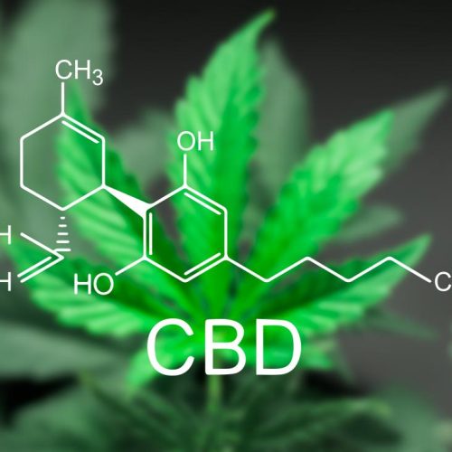 Is CBD oil good for you?
