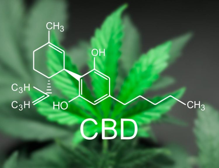Is CBD oil good for you?