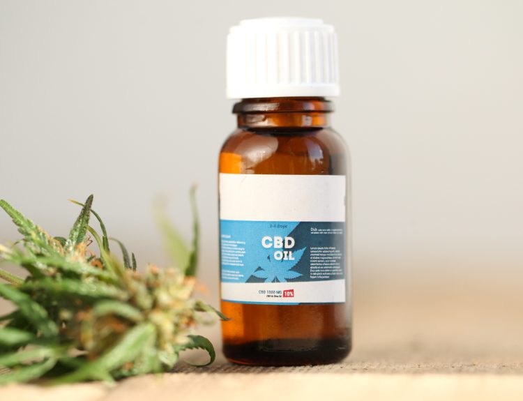 Has Cannabis Captivated the Medical Sense of People?