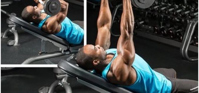 Push ups and infuence of Boldenone Undecylenate on Muscles