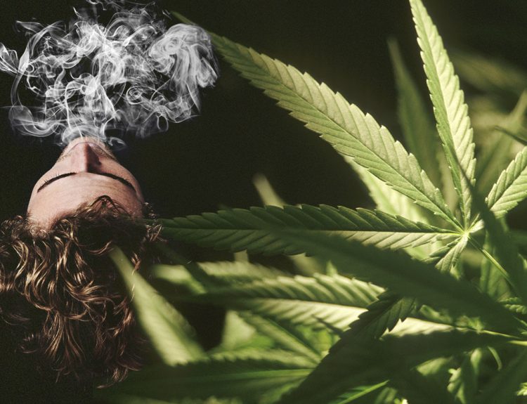 Get to Know the 5 Common Marijuana Flavors