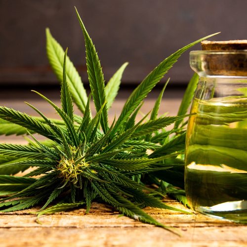 How Can You Have Access To Medical Marijuana Dispensary?