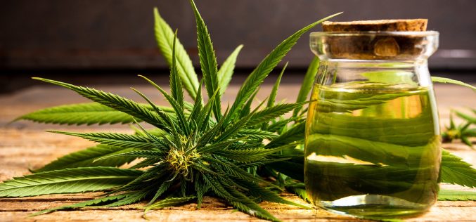 How Can You Have Access To Medical Marijuana Dispensary?