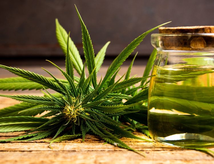 How Can You Have Access To Medical Marijuana Dispensary?