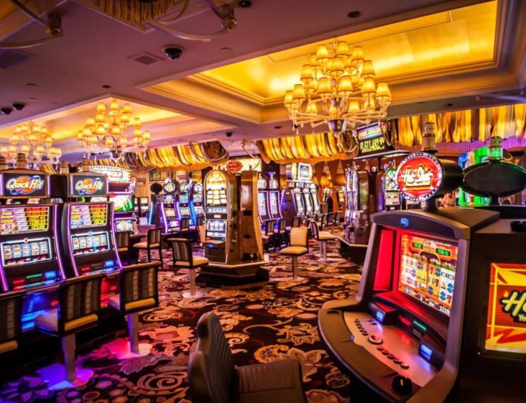 Take a Gamble on PG Slot Direct Website's Slots Games