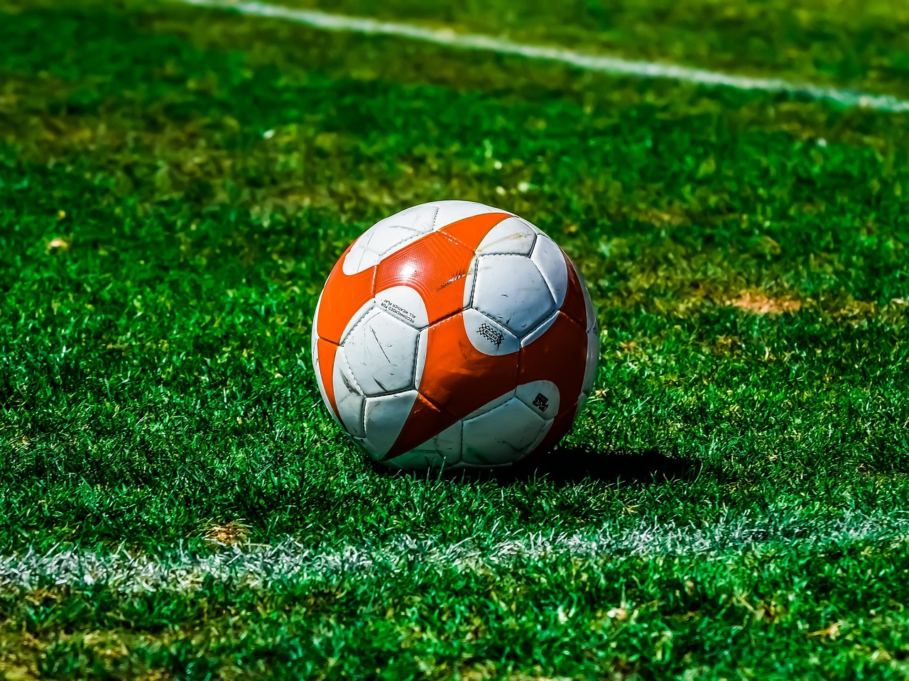 Ball, football, sport — Toto Community Recommendation Connects You with Reliable Betting Insights