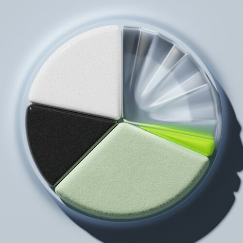 A circular diagram composed of different colored segments, suggesting a concept or model.