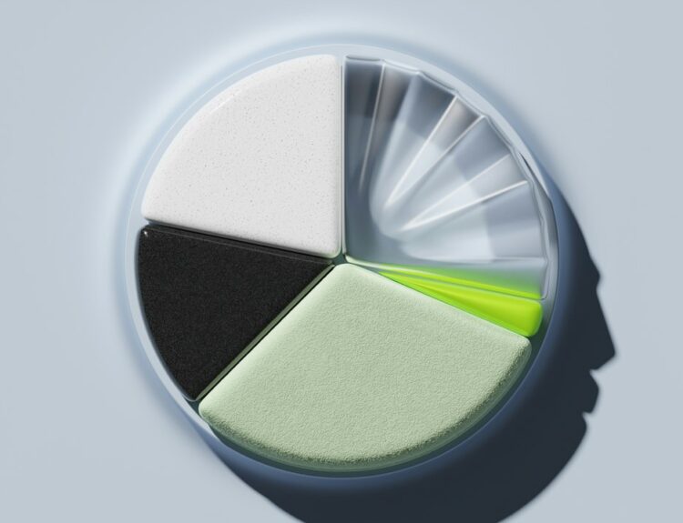 A circular diagram composed of different colored segments, suggesting a concept or model.